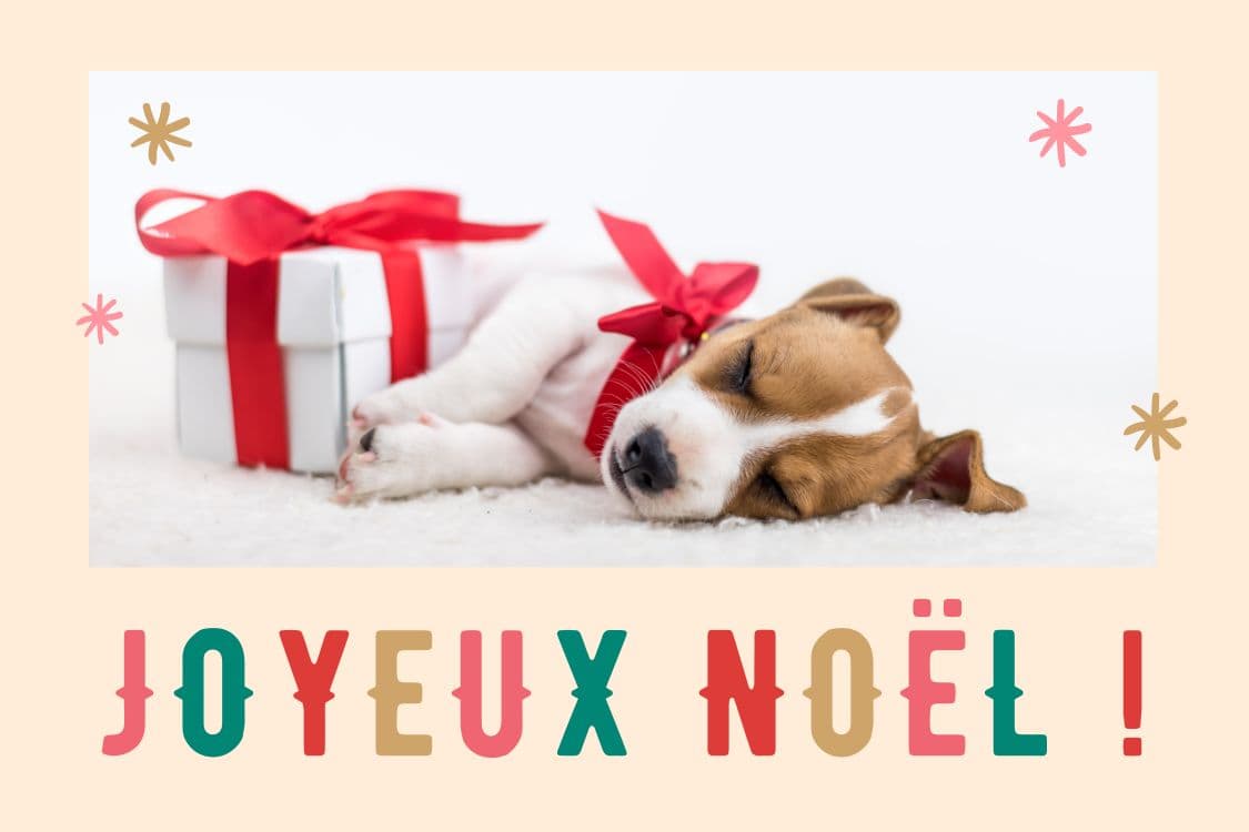 You are currently viewing Idées DIY : Personnalisez vos cartes de Noël pour des fêtes mémorables